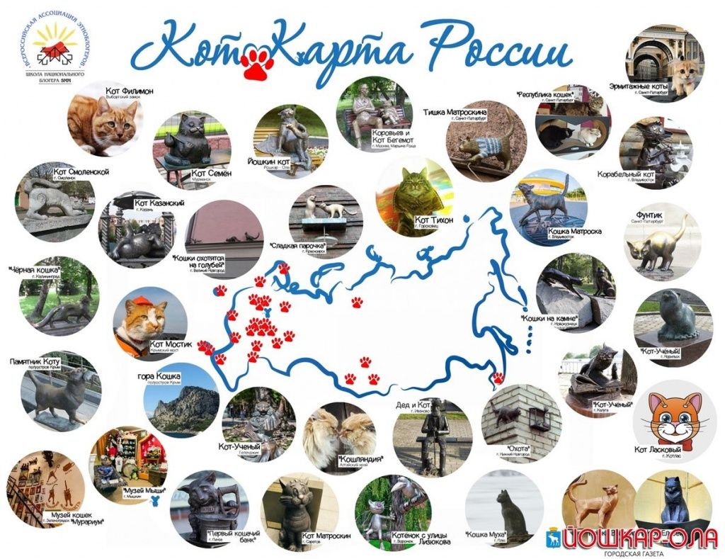 Котокарта.jpg кот.jpg