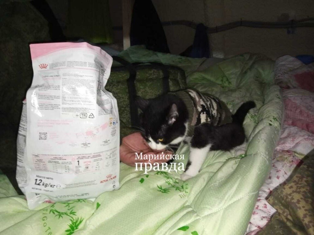 Изображение WhatsApp 2022-11-10 в 15.38.02.jpg