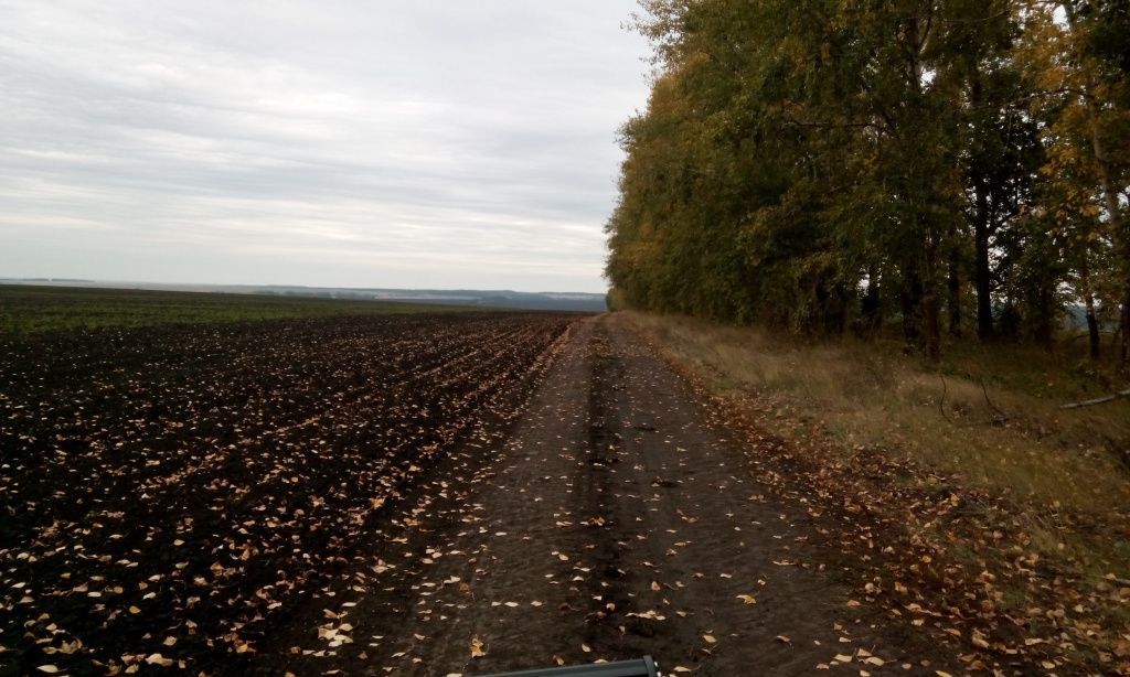 IMG_20150904_125518.jpg IMG_20150904_125518.jpg