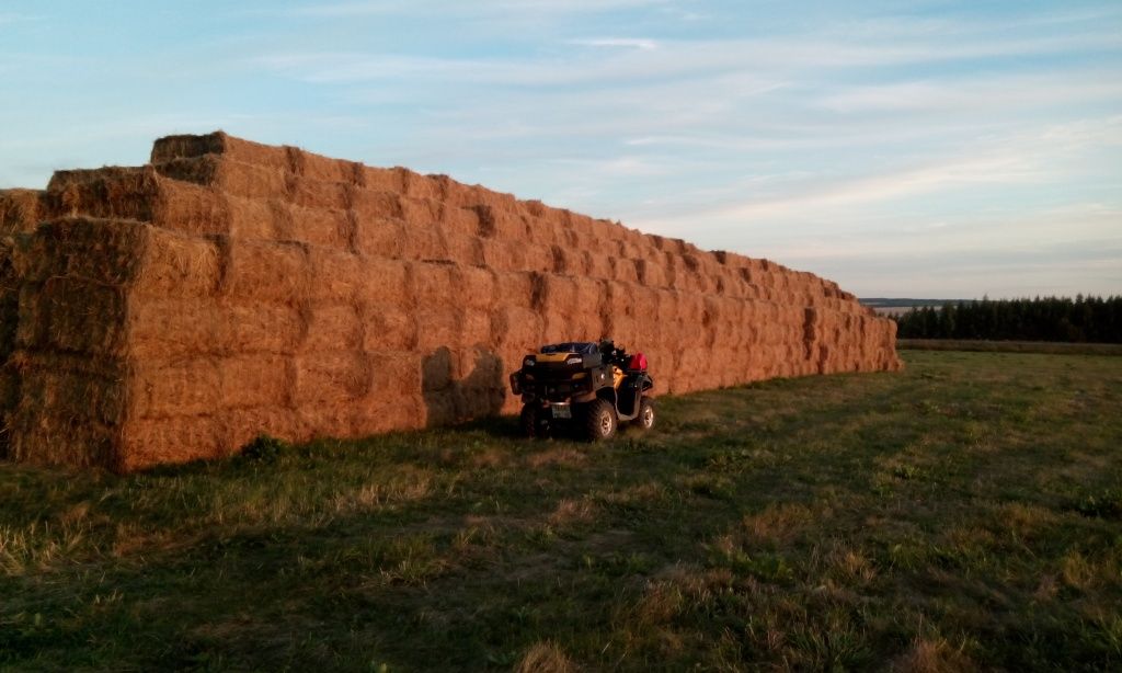 IMG_20150903_182245.jpg IMG_20150903_182245.jpg