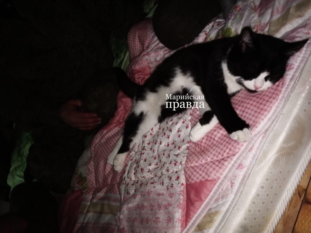 Изображение WhatsApp 2022-11-10 в 17.00.03.jpg