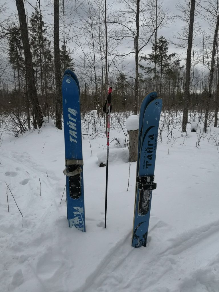 Транспортное средство учетчика - широкие охотничьи лыжи. Транспортное средство учетчика - широкие охотничьи лыжи.jpg