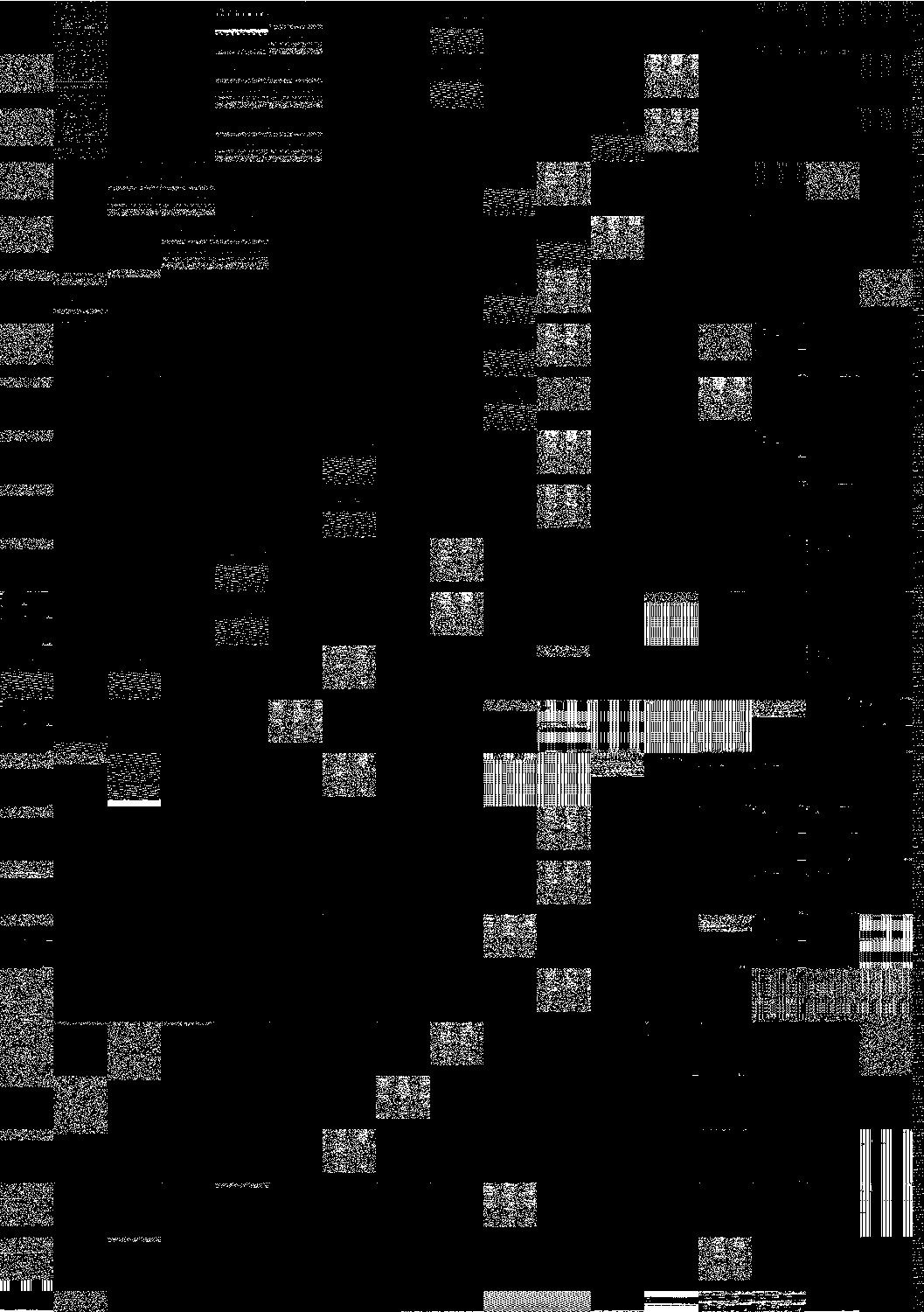 Газета «Марийская правда» от 21.06.1955