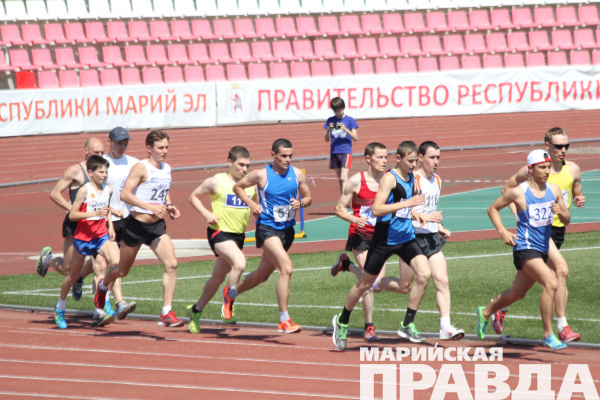 Субсидии спорт. Спортивные Гранты ул мэрия.