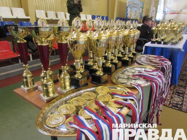 Министерство спорта марий эл