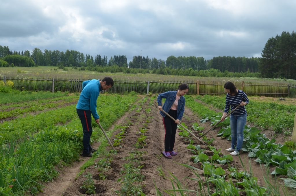 Нужно помочь отцу в уходе за большим огородом.JPG