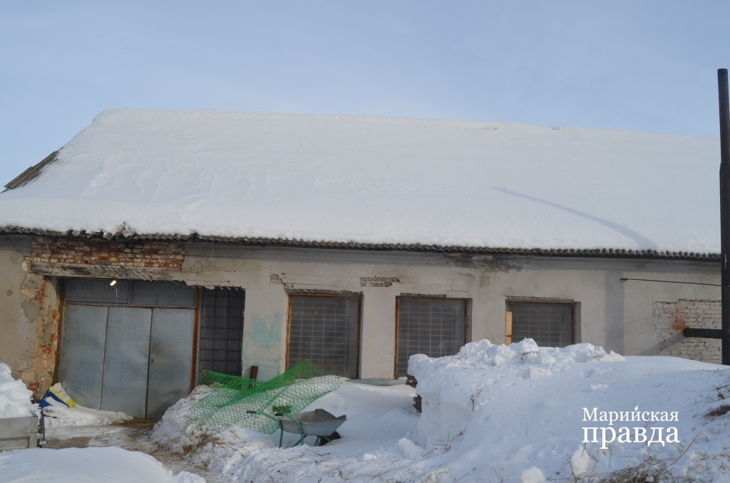 Несушки обитают в одном из бывших цехов Сельхозтехники..jpg