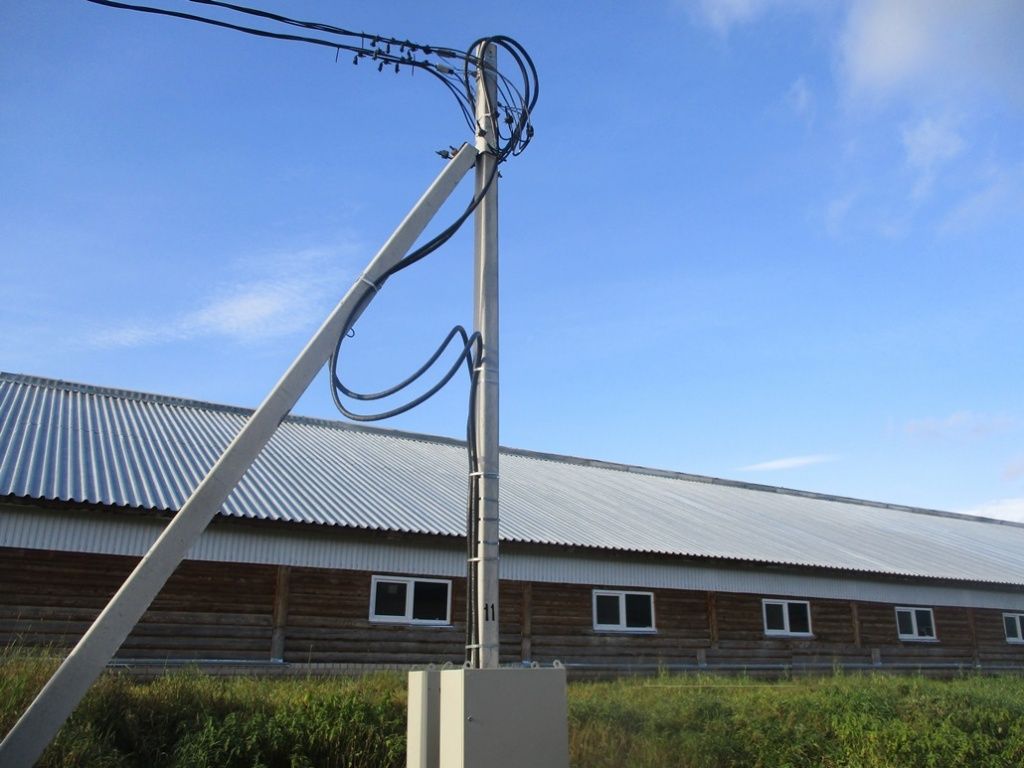 Ферма Орловский район.