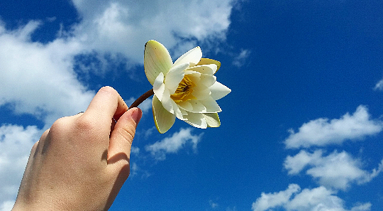 12:00 По колено в холодной воде ради одного цветка.