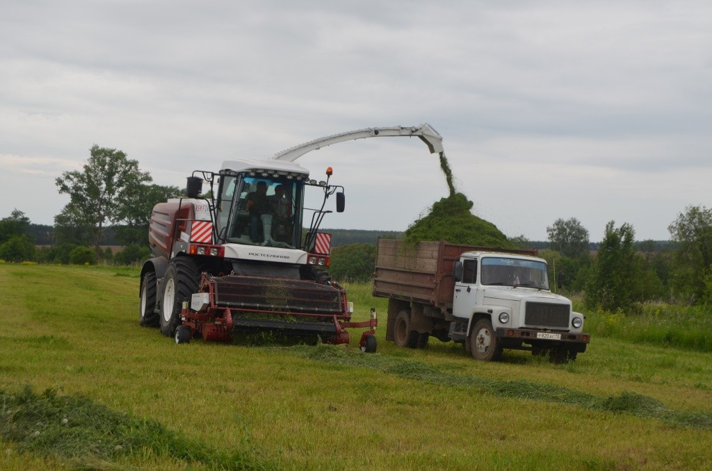 Боевое крещение кормоуборочного комбайна.JPG
