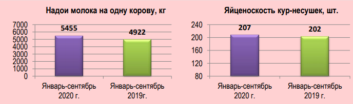 маристат.PNG