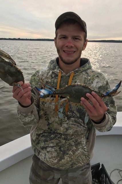 крабы.jpg крабы.jpg