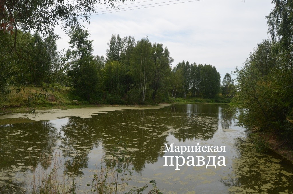 Пруд потихоньку вновь заполняется водой..jpg