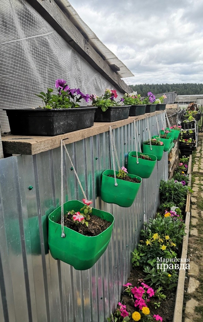 Цветы это увлечение Людмилы Юрьевны..jpg