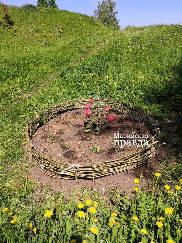 По соседству оригинальный цветничок. По соседству оригинальный цветничок..jpg