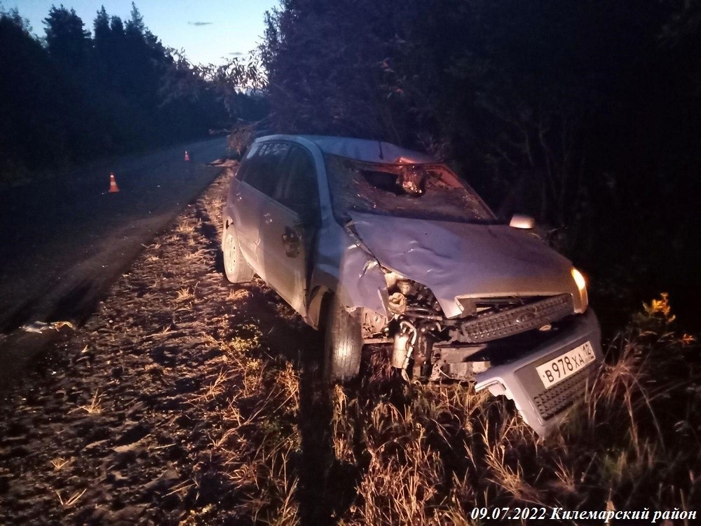 дтп с лосем