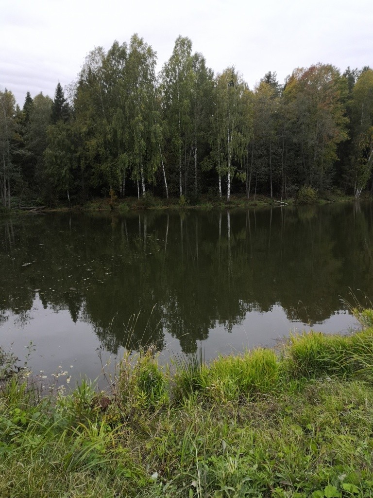 Новый пруд на роднике Арпаш стал дублером спущенного водоема.jpg
