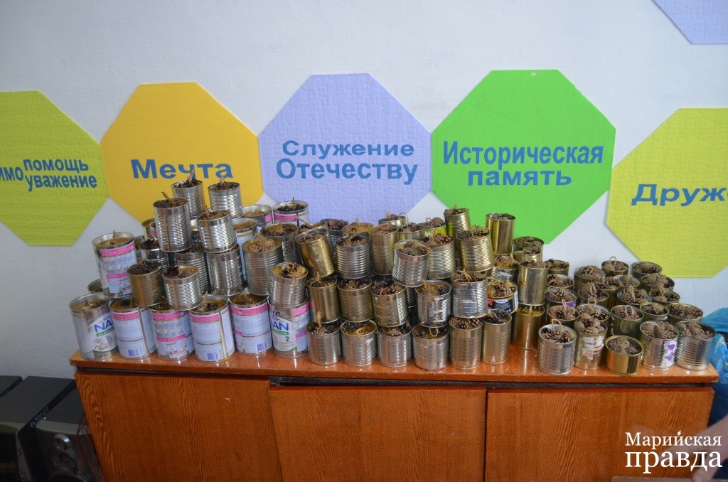 Коллектив школы присоединился к акции Блиндажная свеча..jpg