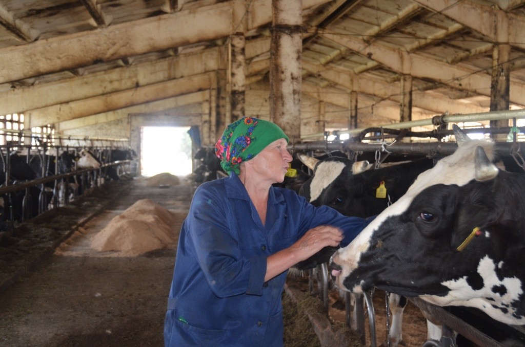 Как здоровье, голубушка.JPG