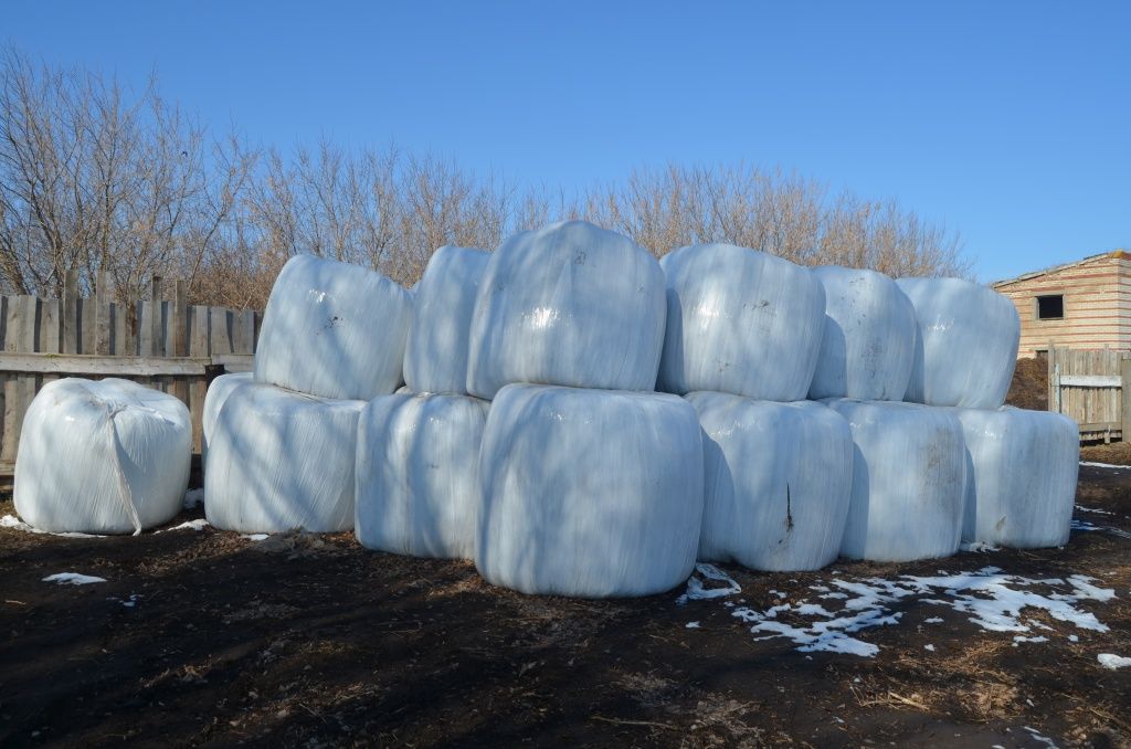 Сенаж в вакуумной упаковке хранится замечательно.JPG