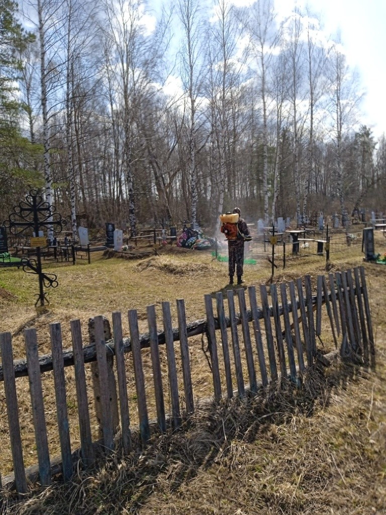 Кладбище с. Пектубаево (2).jpg