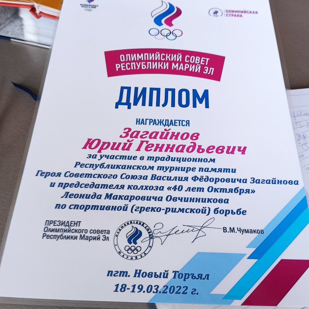 Загайнов. Диплом.сайт.jpg