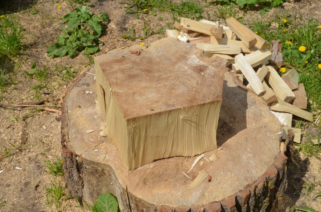 Зацените толщину тополя, из которого вырезалась скульптура.JPG