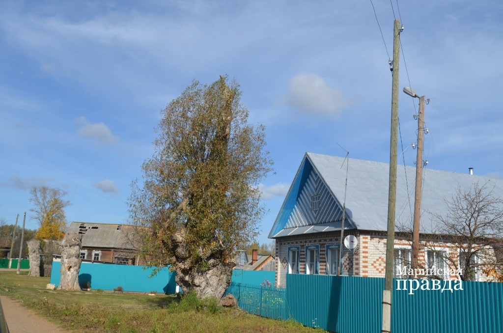 Таких великанов по деревне было немало..jpg