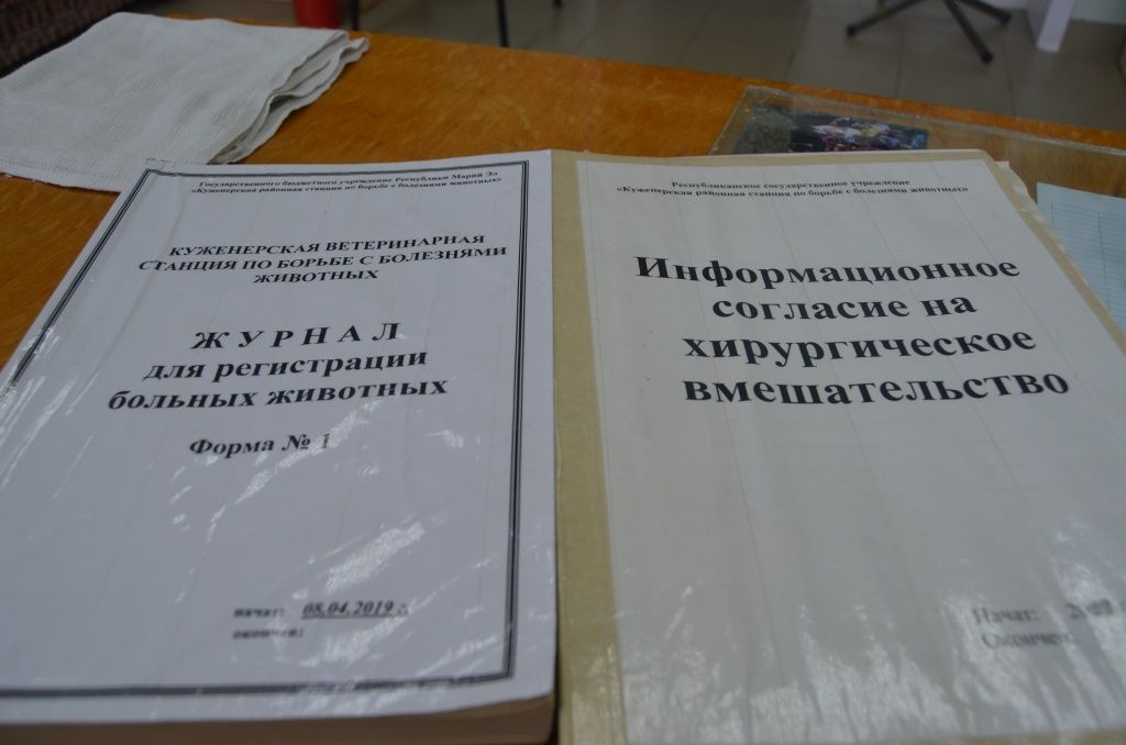 Бумажной отчетности у ветеринаров не меньше, чем в человеческих больницах.JPG