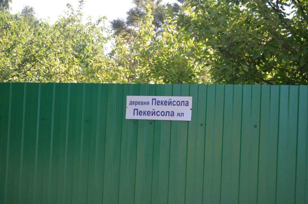 В Пекейсоле одна одноименная улица.JPG