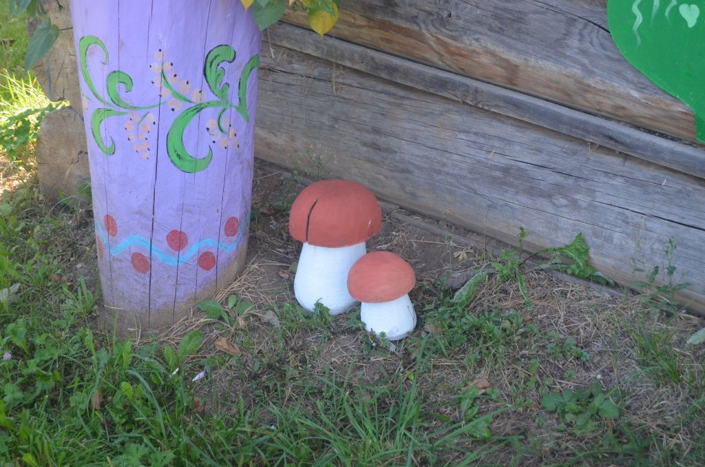 Как вам такие грибочки.JPG