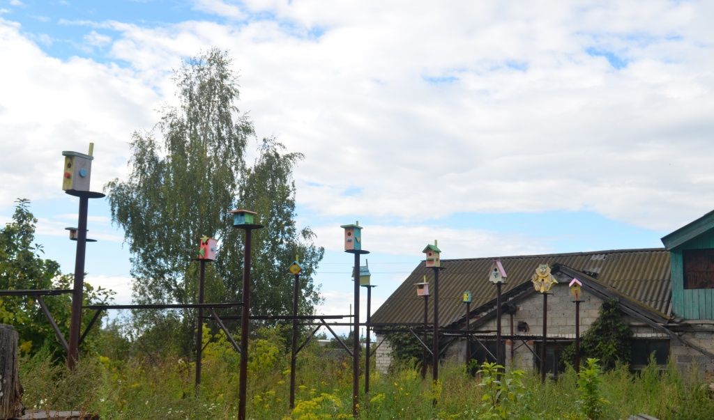 Целый гостиничный комплекс, причем ни один скворечник не похож на другой.JPG