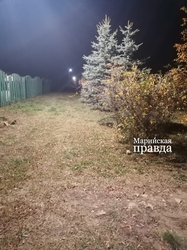 На улице Новой в Чендемерово даже ночью теперь светло. На улице Новой в Чендемерово даже ночью теперь светло 1.jpg