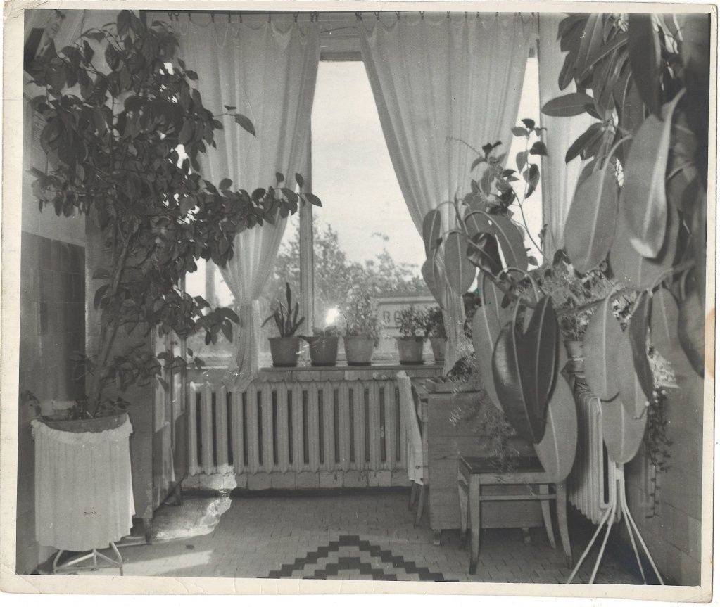 Ну чем не зимний сад! (Фото из семейного архива Людмилы Бабушкиной).