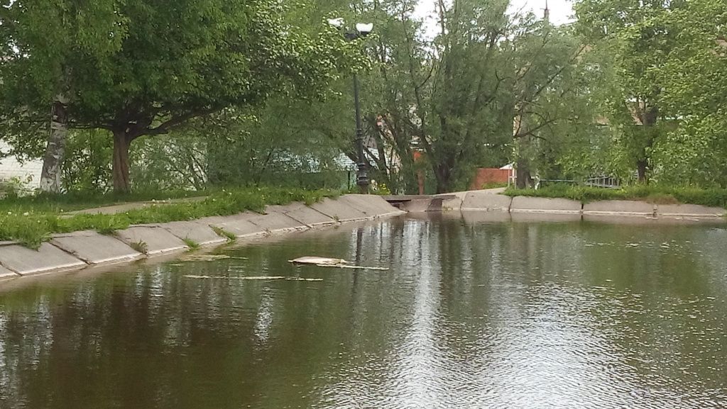 пруд Рыбаковский1.jpg