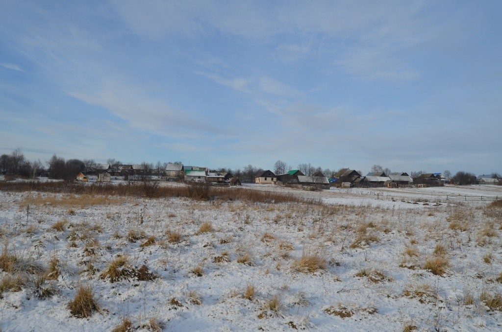 Вот на этих заливных лугах близ Шойдума бродило когда-то стадо Милютина.jpg