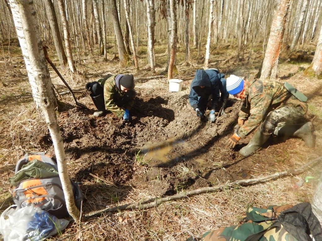 Эксгумация останков в болоте.