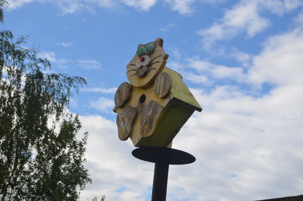 Вопреки прогнозам, котодом птички заселили одним из первых.JPG