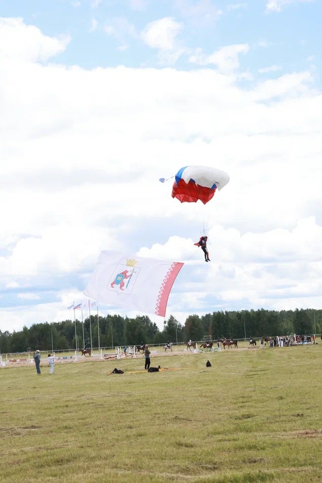 0C9A0446.jpg