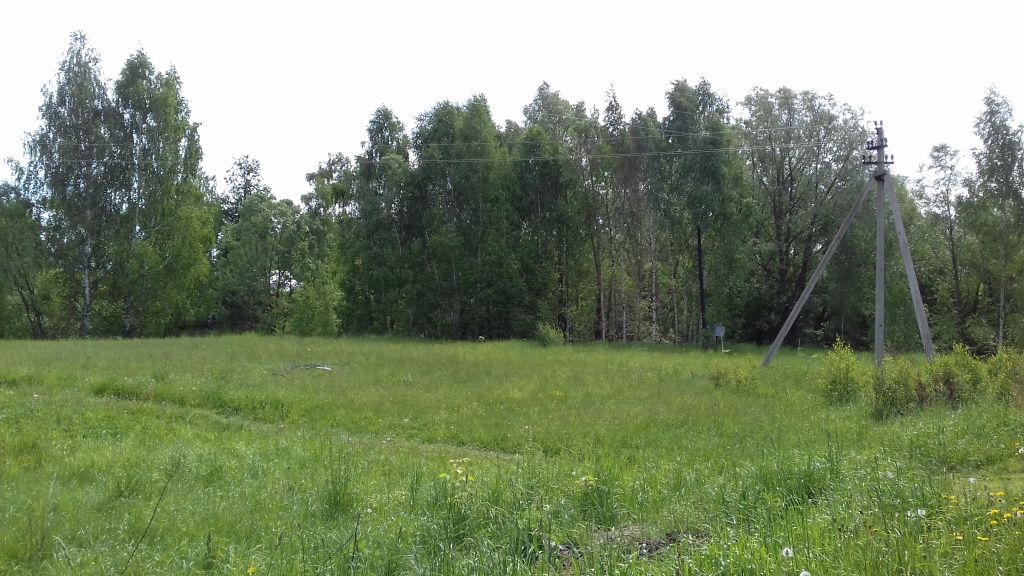20180608_091853.jpg