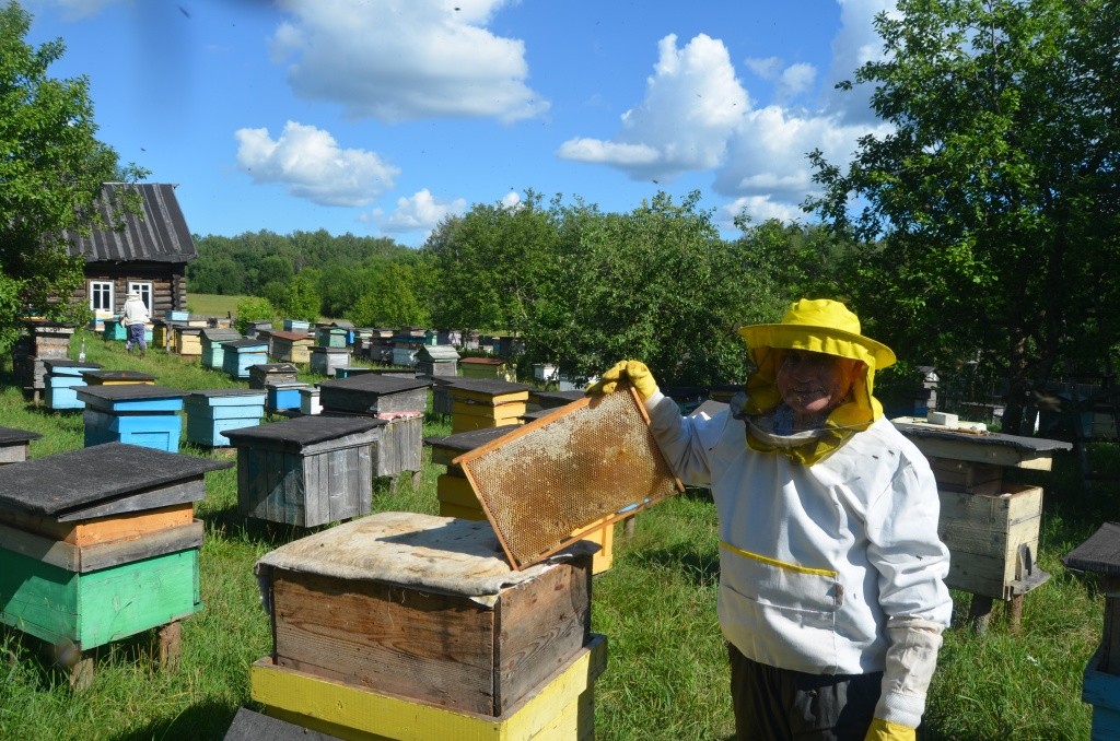 Юрий Грязин без меда на пасеке в лесу никогда не останешься. Не одна, так другая травка выручит.jpg