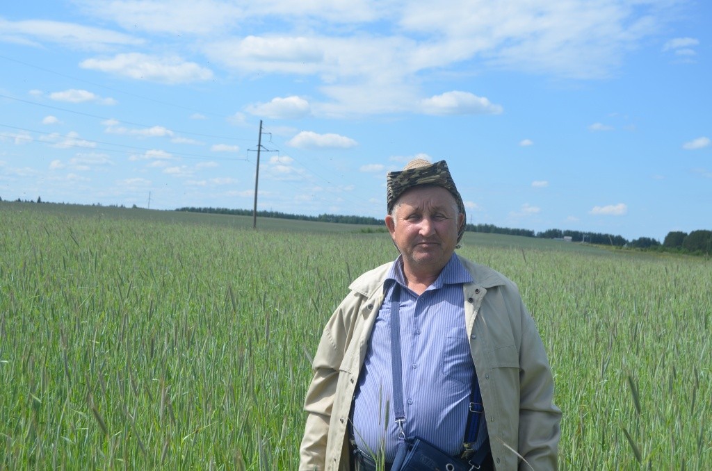 Виктор Нефонтов без гербицидов сплошного действия победить борщевик невозможно.JPG