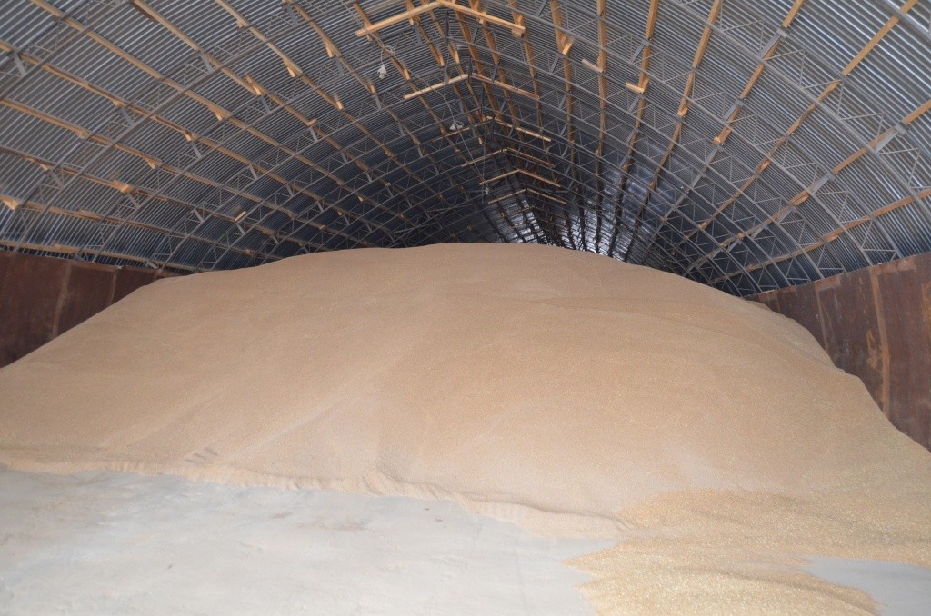 Склады забиты зерном.JPG