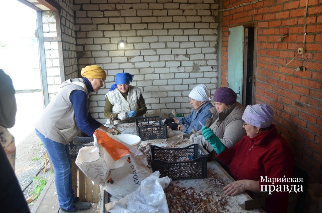 На помощь приходит вся деревенская родня..jpg