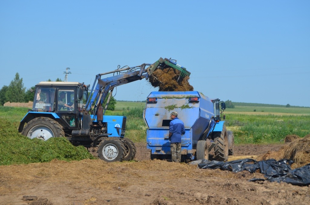Тракторист загружает в миксер компоненты коровьих обедов - там масса смешивается и измельчается.JPG
