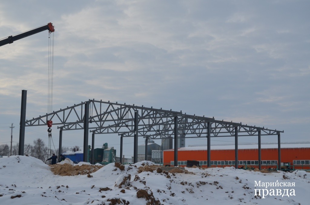 Началось строительство новой молочной фермы, которая станет родным домом для 200 коров(2).jpg