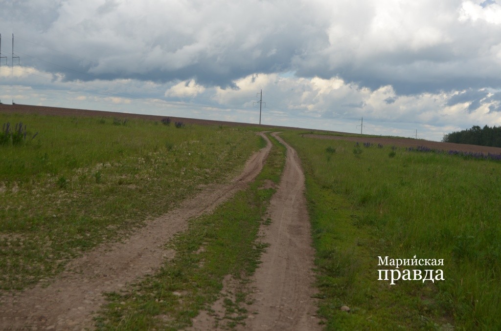 От деревни до асфальта 800 метров полевки, в сухую погоду не проблема, а после дождя хоть плачь..jpg
