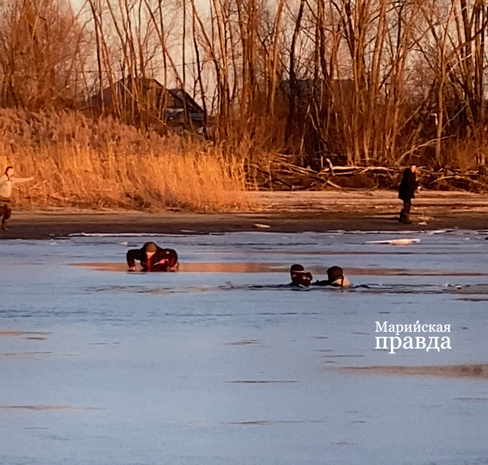 Снимок экрана 2025-03-26 092439.png