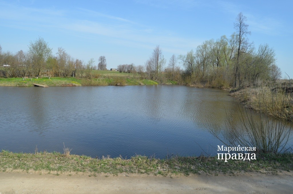 Деревенский пруд углубили и зарыбили 1.jpg
