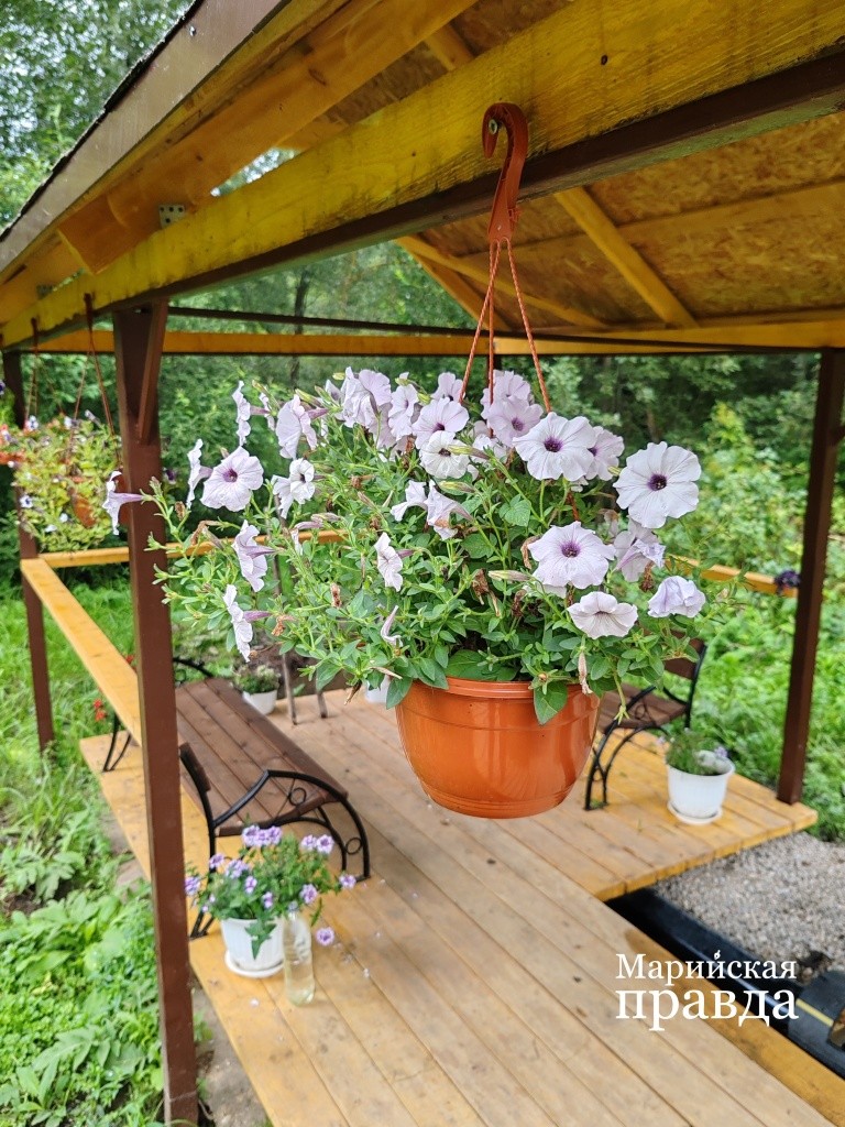 Местные жители украсили беседку и тропинку цветами 1.jpg